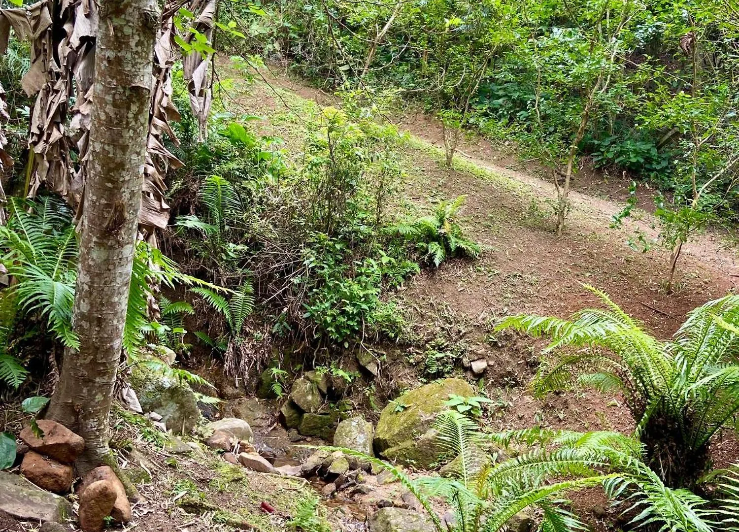 Ferrugem Green Village II - Apartamento Terreo Com Cozinha Garopaba